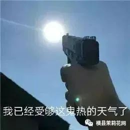 094722oal9kxa543x3w173.jpg