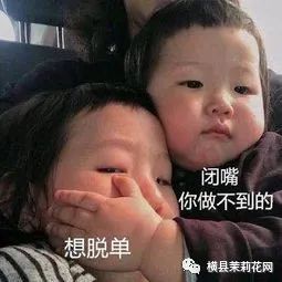 094047pu1trkniw1zkjkwl.jpg