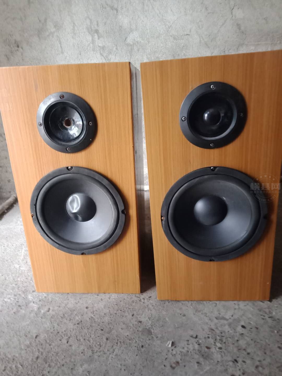 8寸音箱.jpg