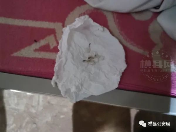 151417davalb1caz7gkvmt.jpg