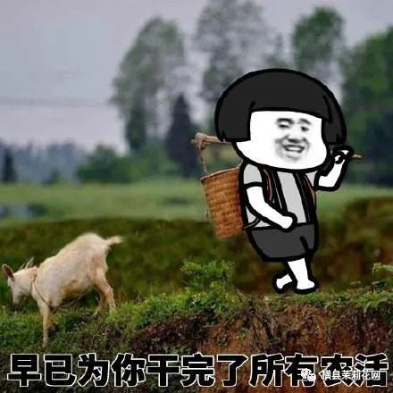 084123t533nnn3nputted3.jpg