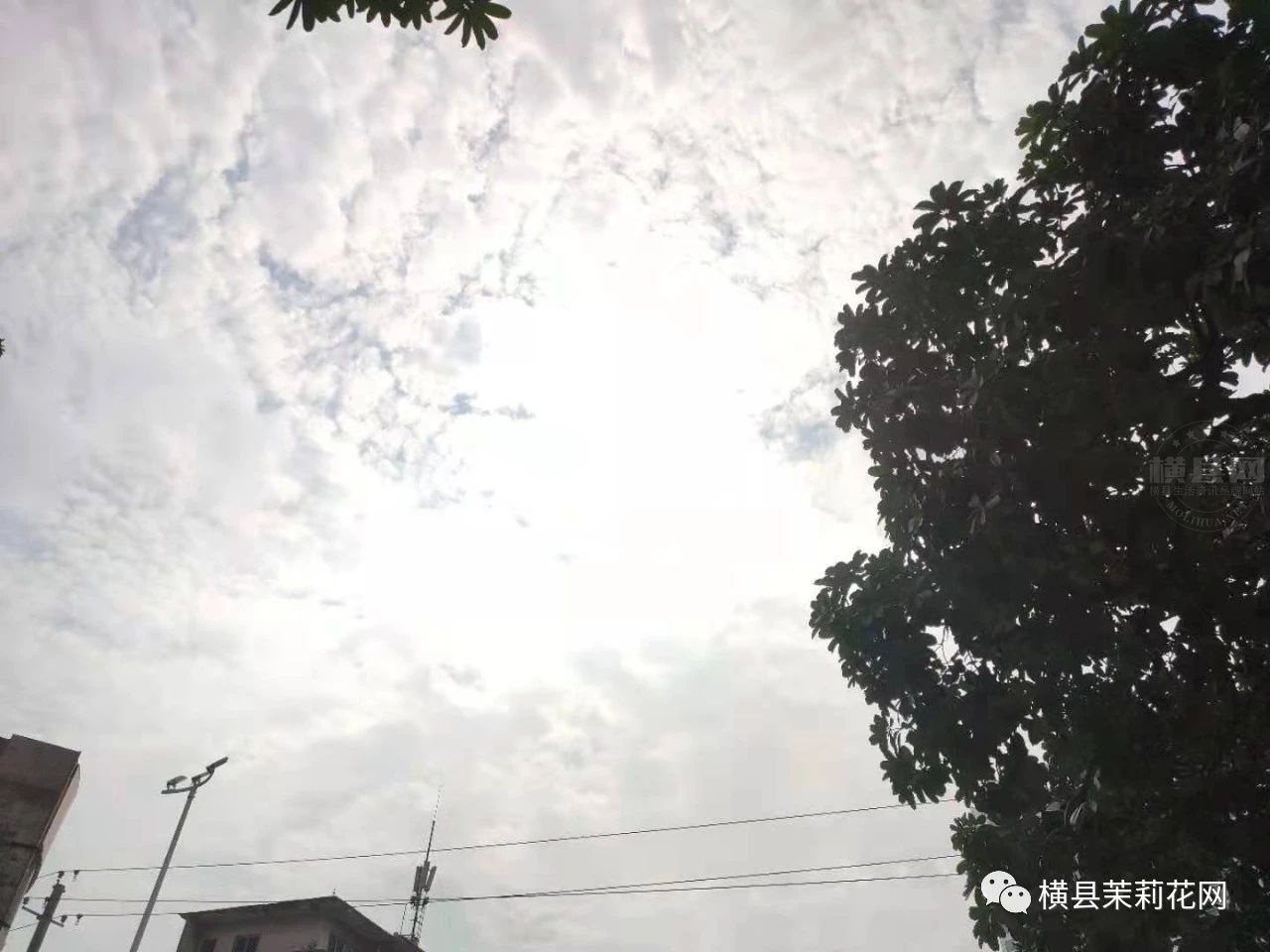 181848r0e1l7eq0e56b060.jpg