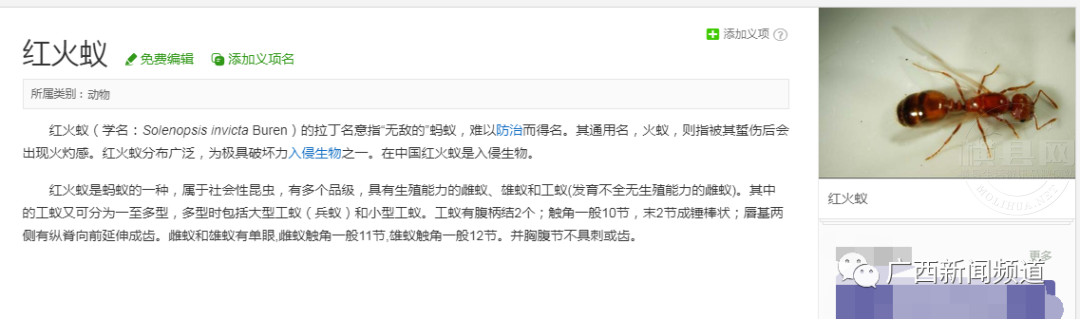 084607j5s6dq55eqq7oq5q.jpg