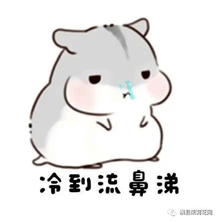 182510f8y4z45wzm41skzx.jpg