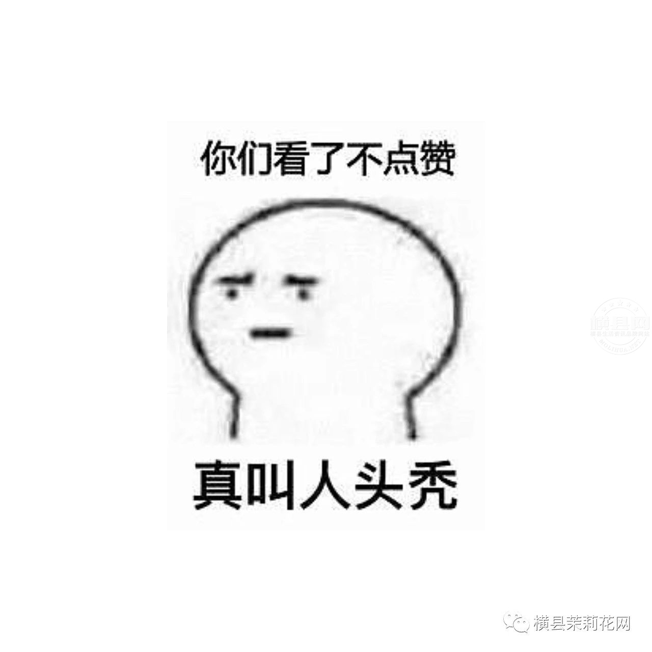 182754gkmhwd9wladlwiml.jpg
