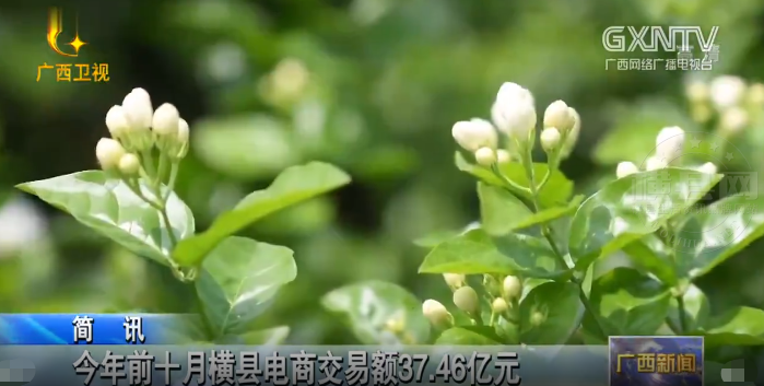 微信图片_20201202174432.png