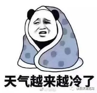 183457pcpcf04ccafzpyyp.jpg