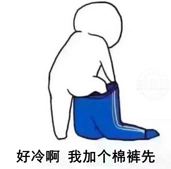 181701jtvwm3mjtg5jvwgo.jpg