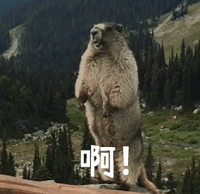 084409ce33kjjwj7w3je3a.jpg