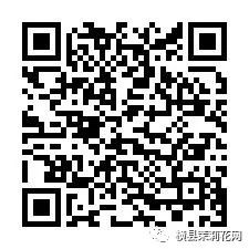 084150fhj5zzefjq43qej4.jpg