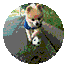 084158hhm66gzhhwuhoo7u.jpg