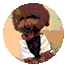 084158vveei84fvmve49fe.jpg