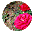084158j1lfwd66w1difimy.jpg
