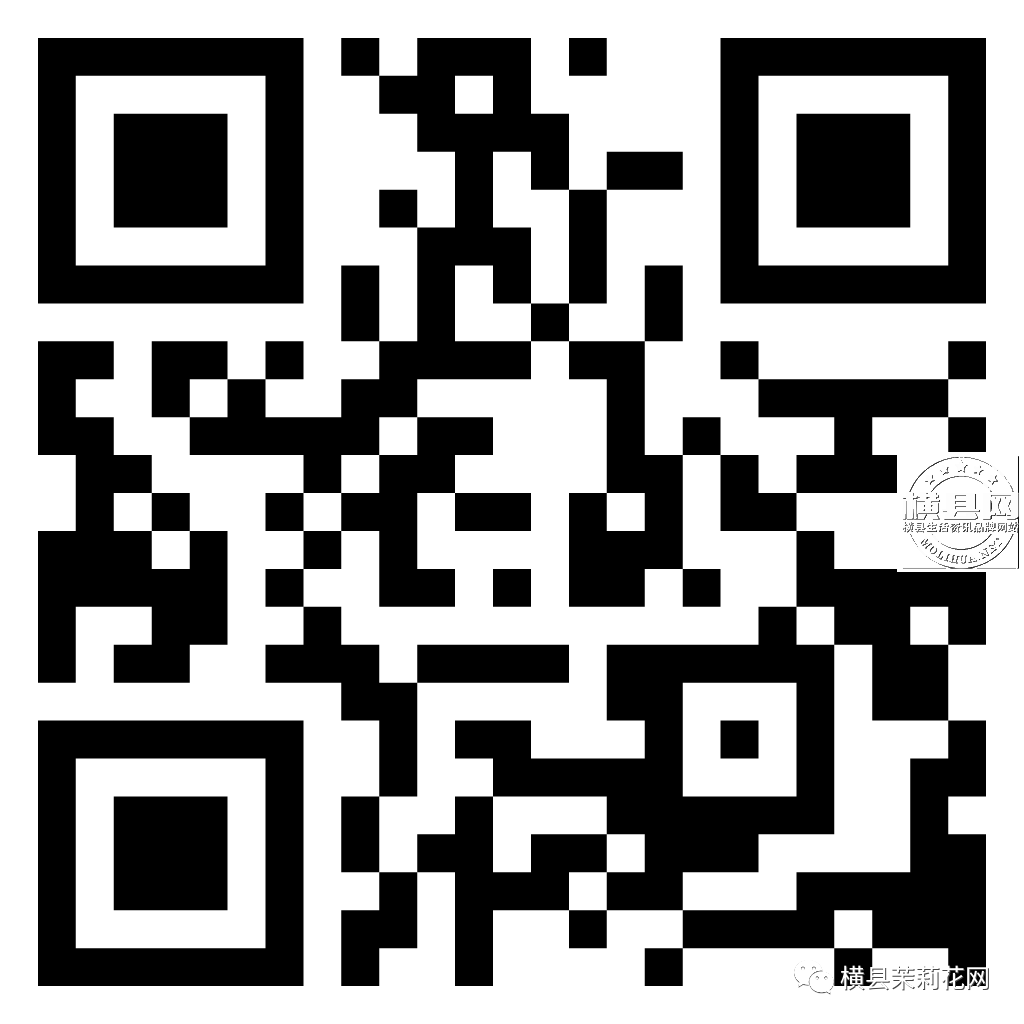 091216cvqv684xvscwikwx.jpg