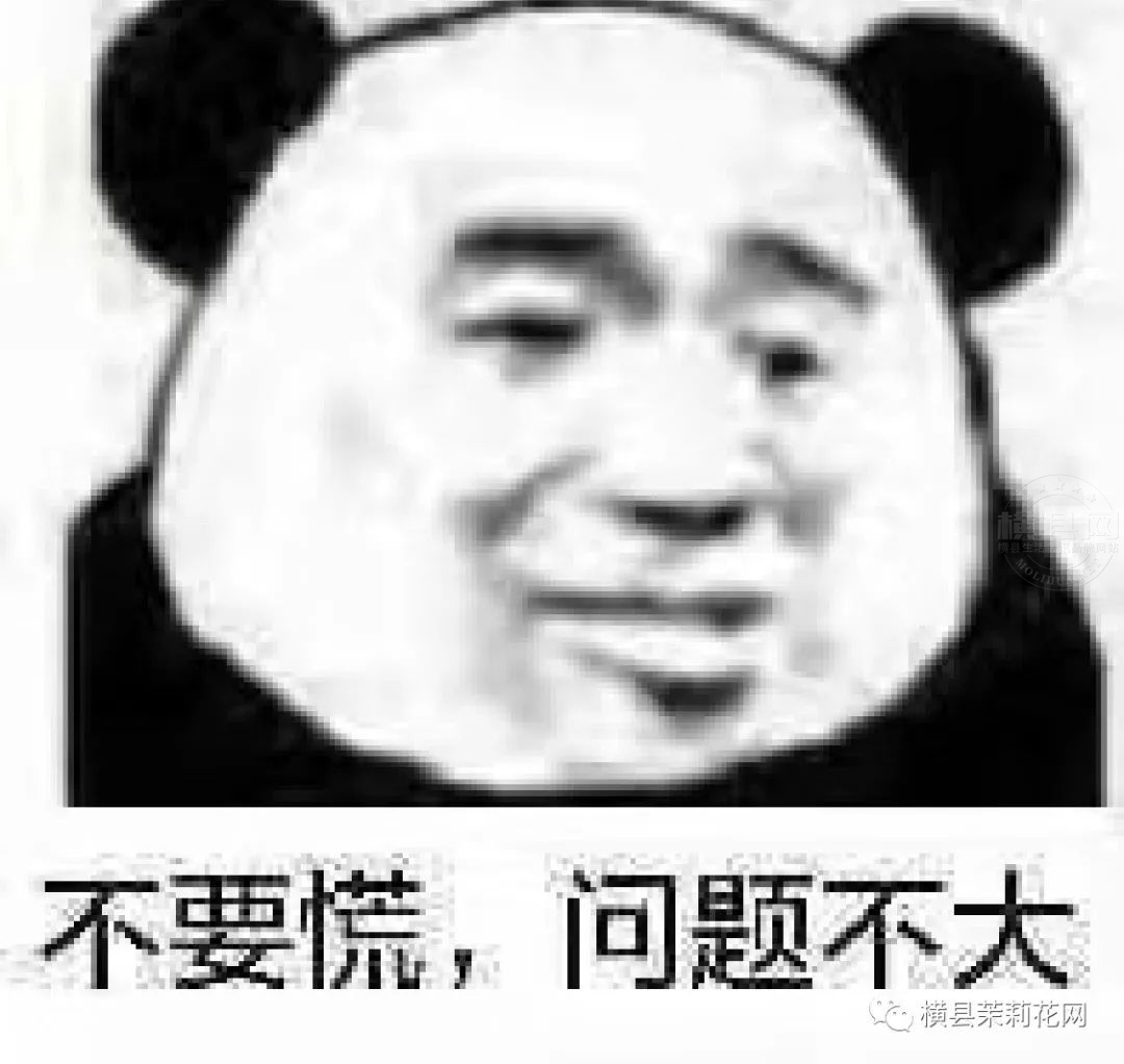 085219jonhomf0m9chttiy.jpg