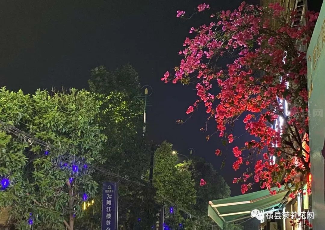 182809x5i1h25hmqmmpph2.jpg