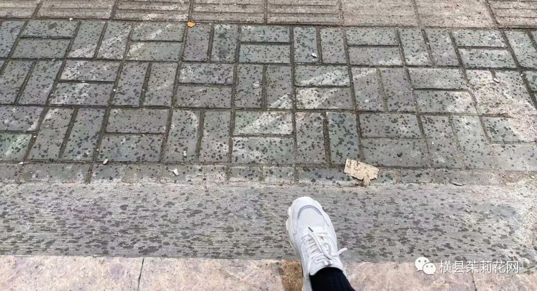 182812qjteo7aaqq4heja6.jpg