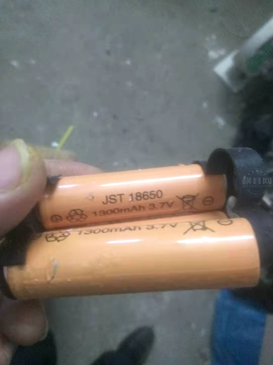 3   18560.jpg