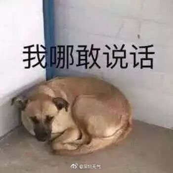 185309ikmfsbr4a5emg73y.jpg