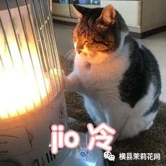 084010lzkvbe1fsjkve1bs.jpg