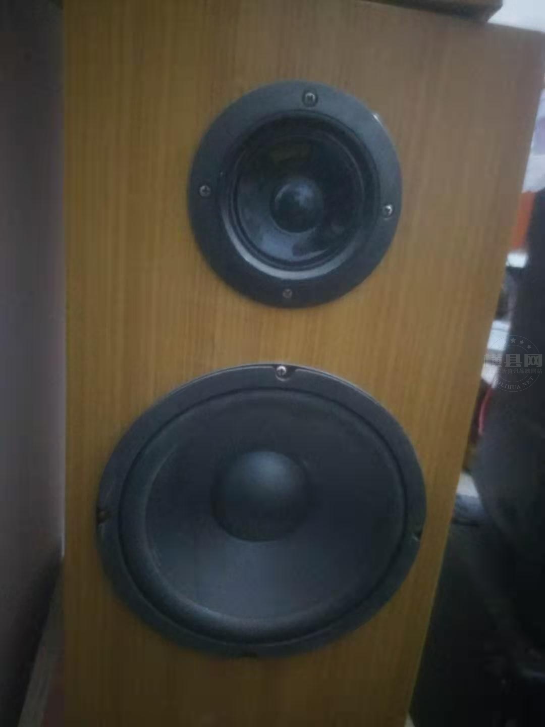 08寸音箱.jpg