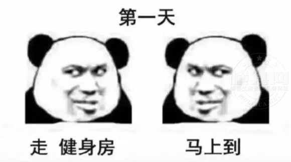 084856m7l0zzalma2k64m2.jpg