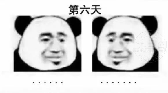 084858f981l8yldu3db32b.jpg