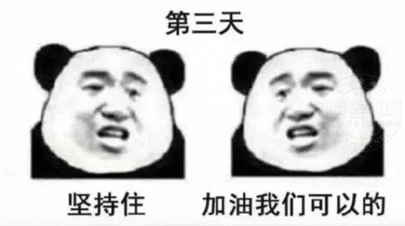 084857p8v44dd849rzcerr.jpg