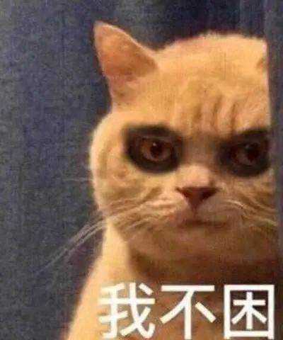 084859ju0rz9uba91huz4t.jpg