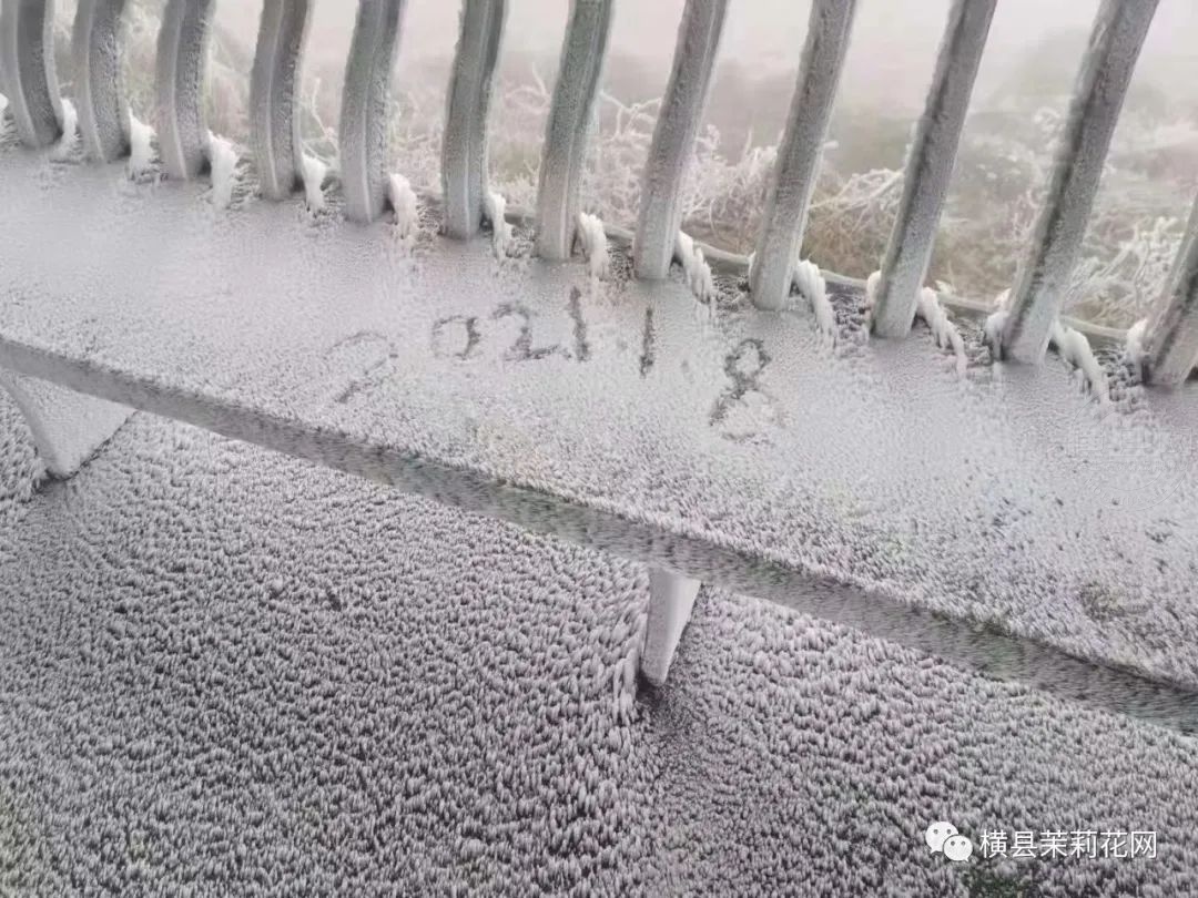 181556n4efzyfmem7ff5mn.jpg
