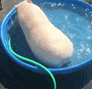 191017wj7733m7qjj337xm.jpg