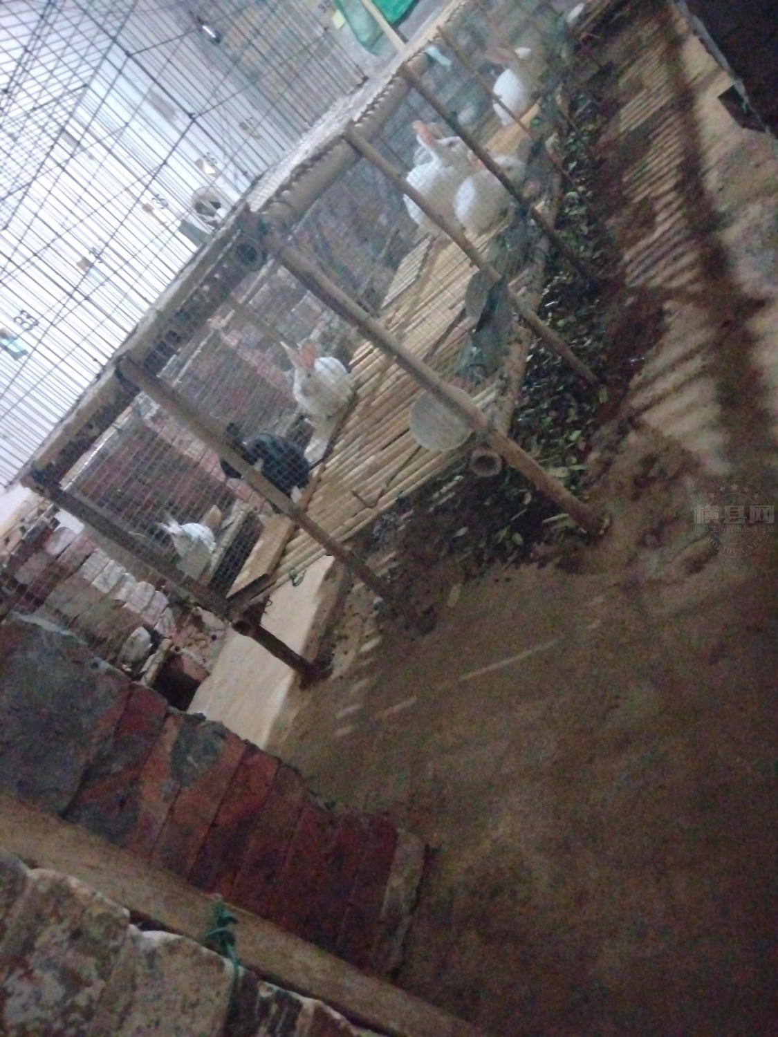 IMG20210114221848.jpg