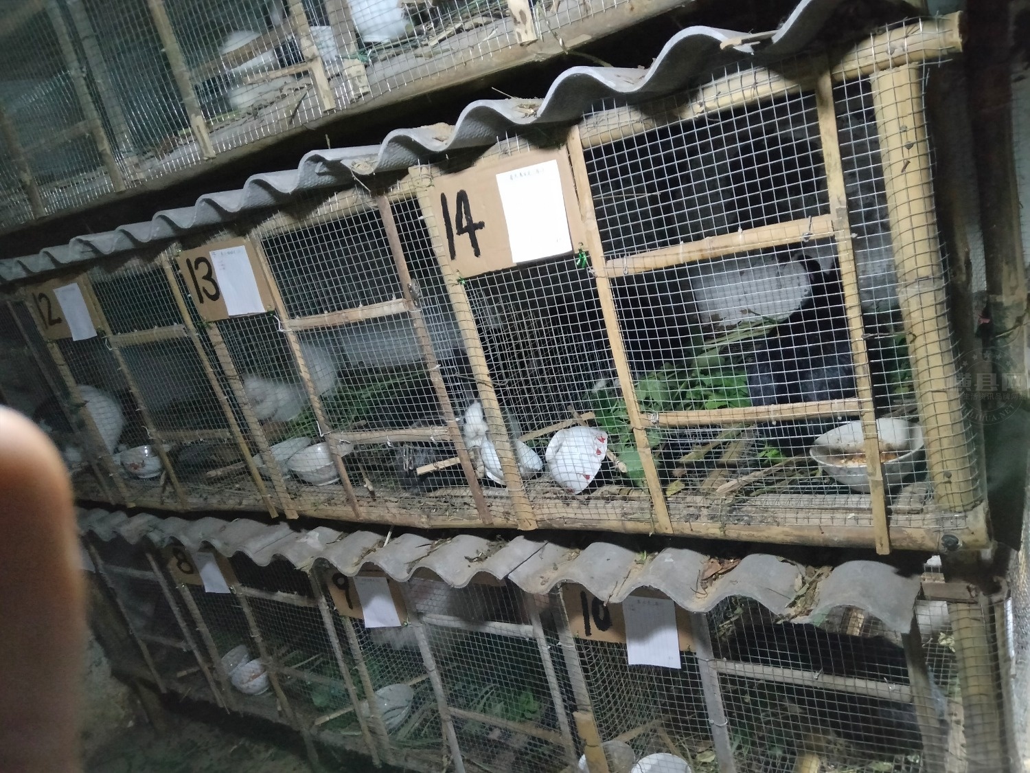 IMG20201208205131.jpg