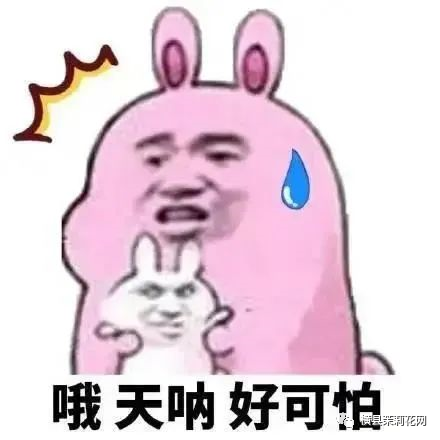 084832jf8di83rjzhx5hdx.jpg