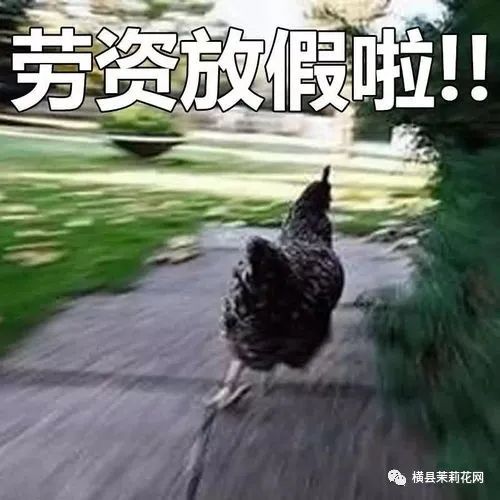 183900enka74idbxckxacv.jpg