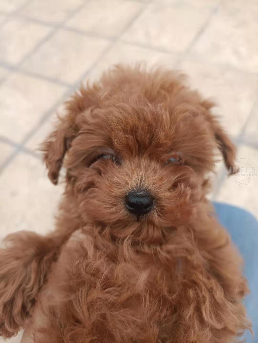 wechat_upload1612019169601575e176041