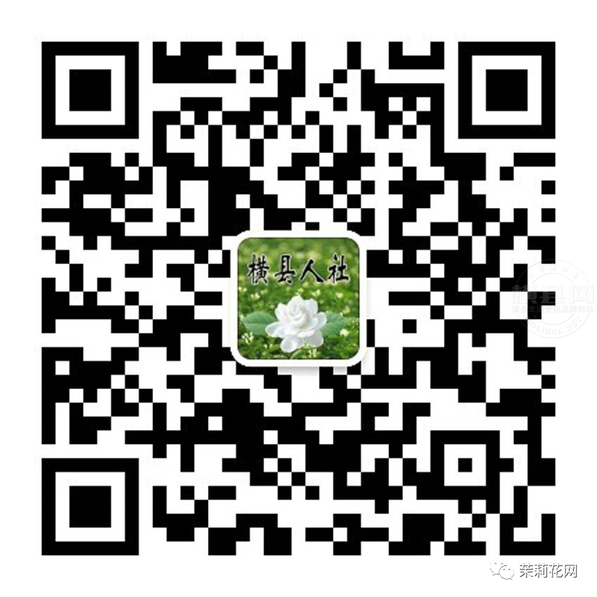 083813fp3kt3kbepnbxlpe.jpg
