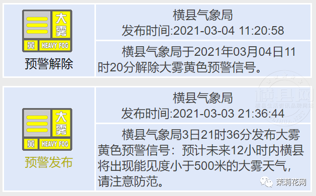 180959r8dmemmdddiydiv6.jpg