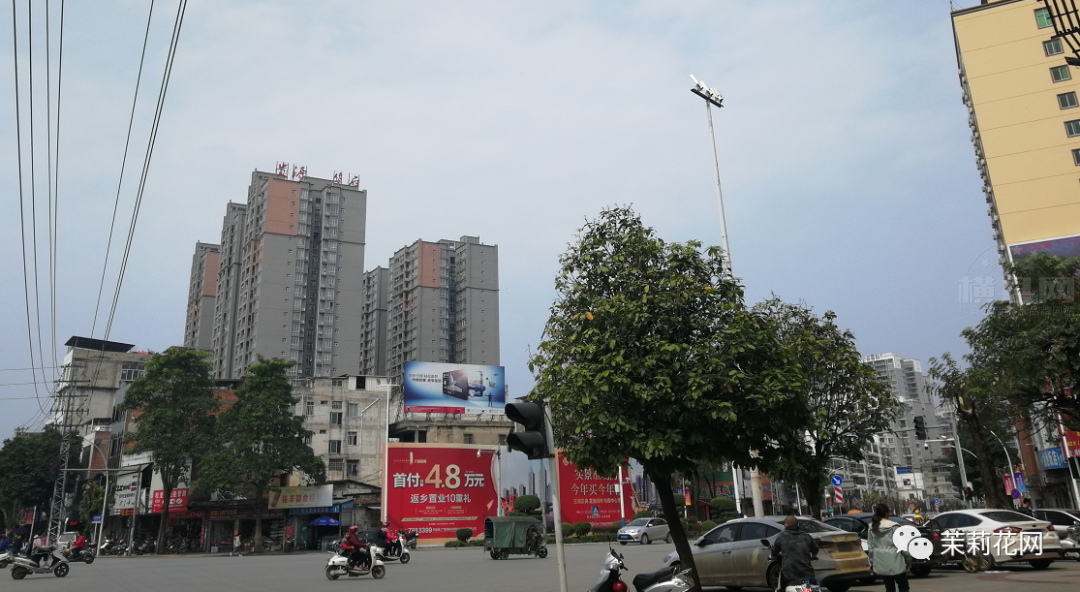 175843j9hyc929or849h25.jpg