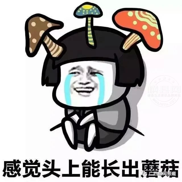 175847zwcmmrw9me0eoo9m.jpg