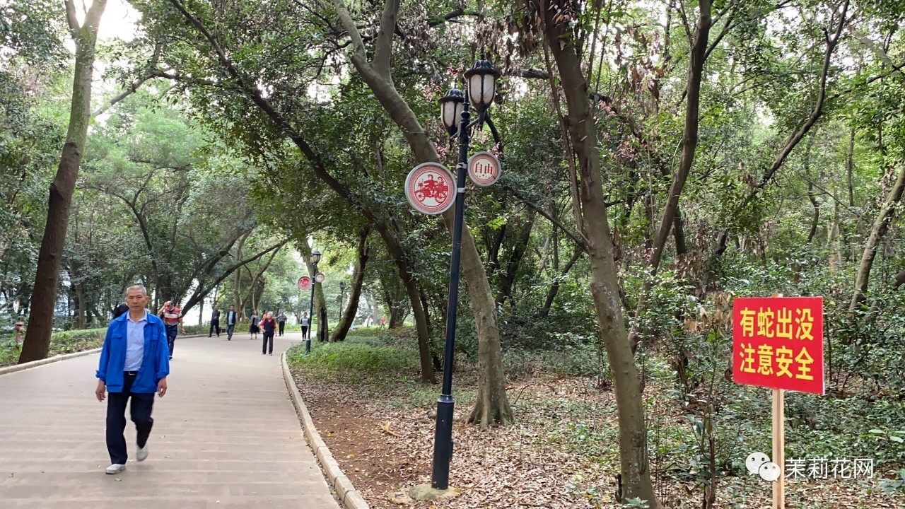 微信图片_20210315181158.jpg
