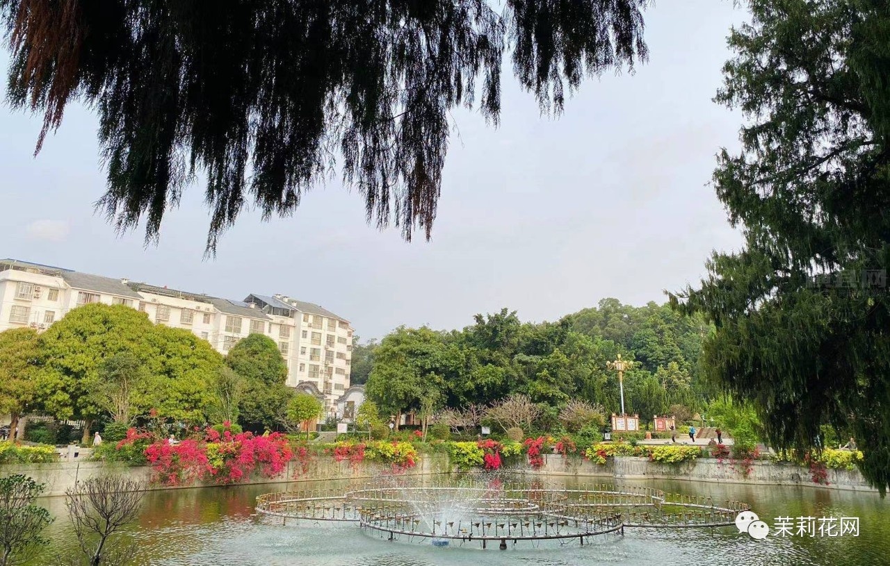 微信图片_20210315181154.jpg