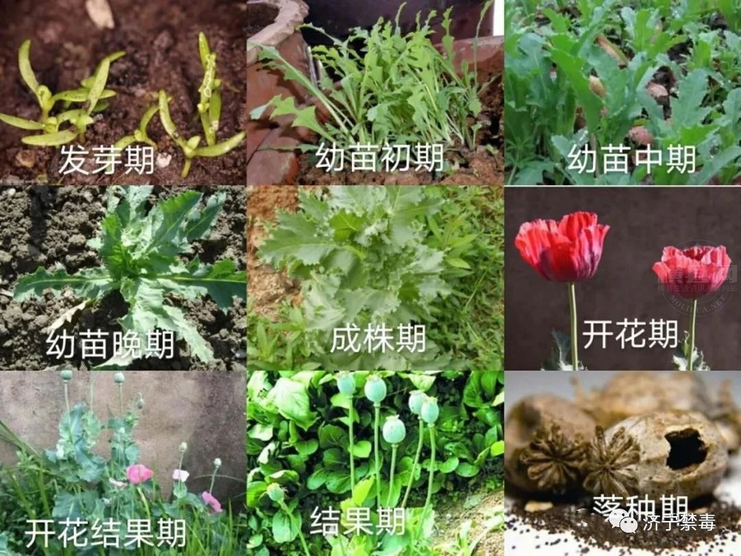 微信图片_20210323084957.jpg