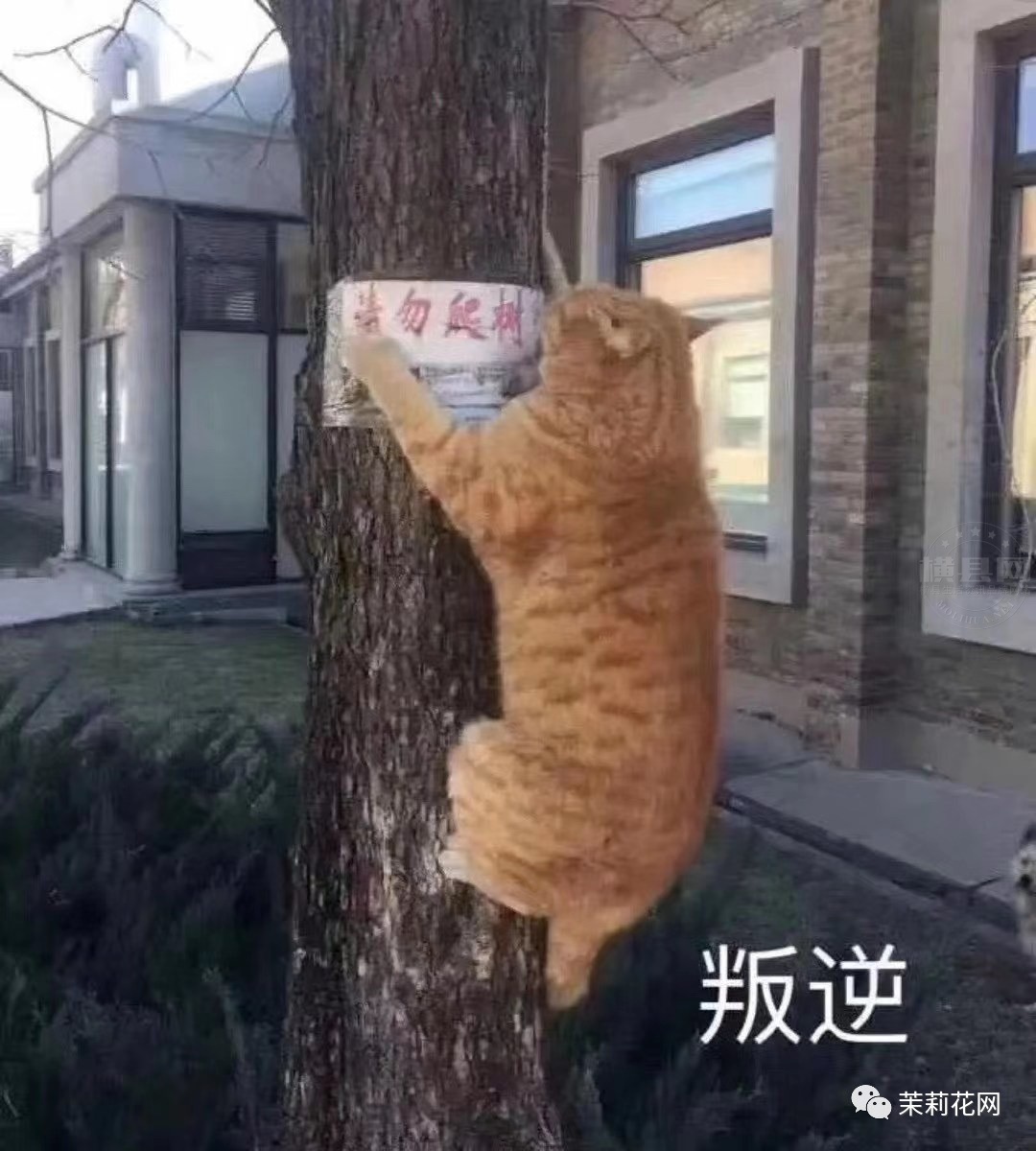 微信图片_20210323085937.jpg