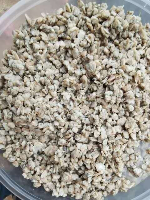 wechat_upload16165040116059e4cb2e8ec
