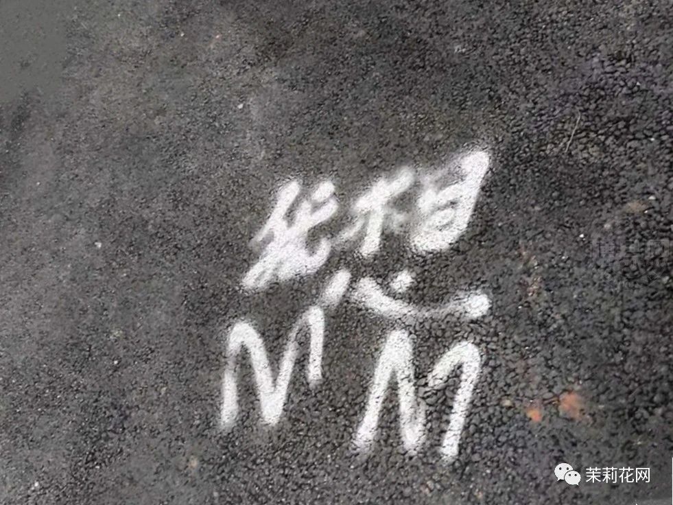 微信图片_20210324085618.jpg