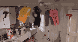 084312ivjjvvhfdv8g52mt.gif