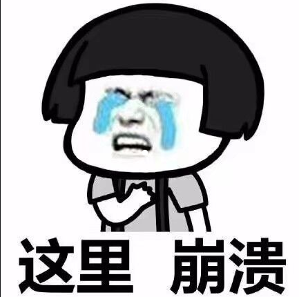 084312t9dpzzh1cf1hochx.png