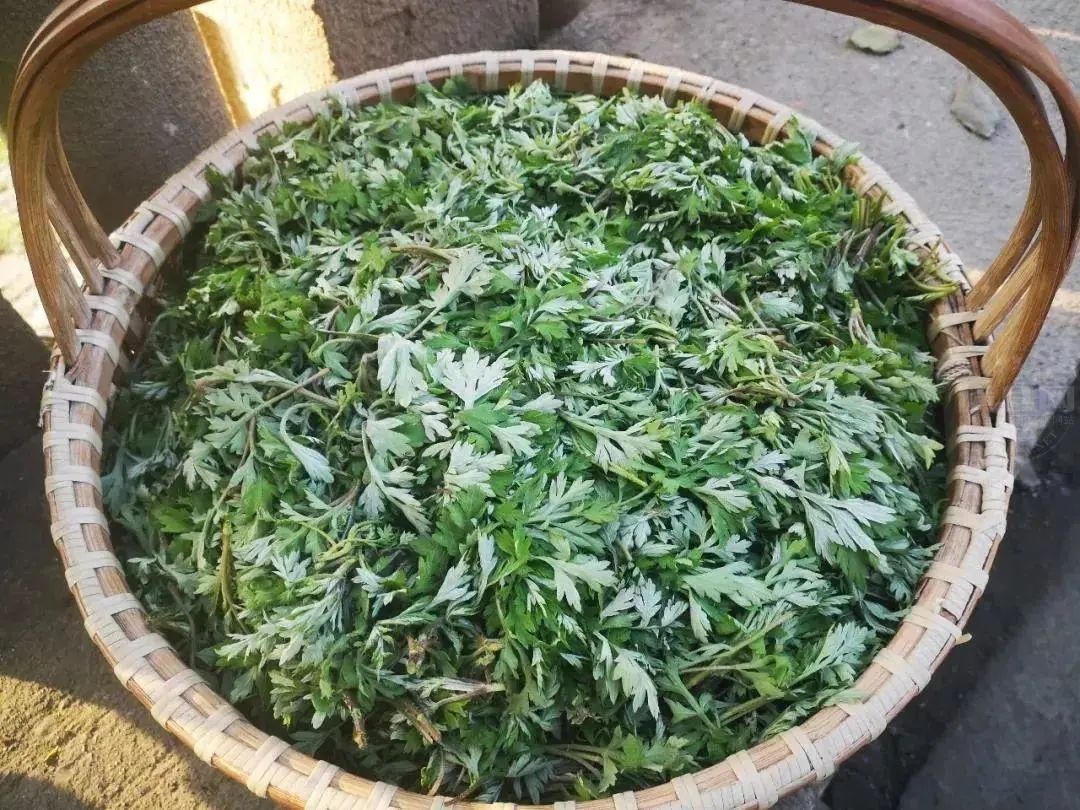 微信图片_20210329091804.jpg