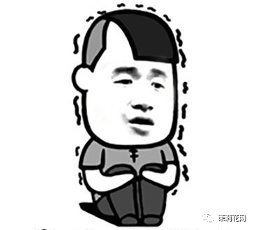 084155d72zzlyz27dtj2ze.png
